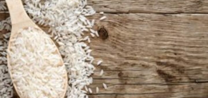Ученые вырастили устойчивый к болезням рис