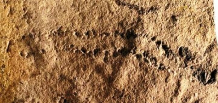 Найдены самые древние следы на Земле