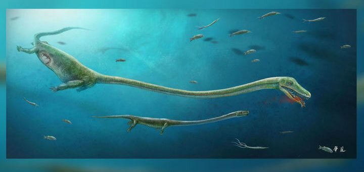 Палеонтологи нашли окаменелые останки беременного "морского монстра"