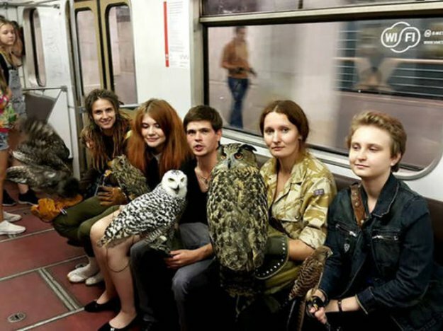 Прикольные фото пассажиров из метро разных городов мира